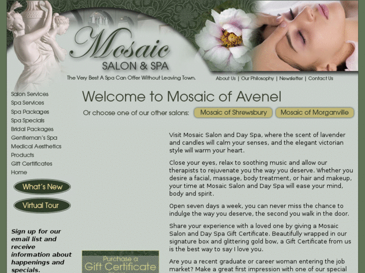 www.mosaicsalonspa.com