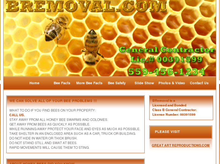 www.bremoval.com