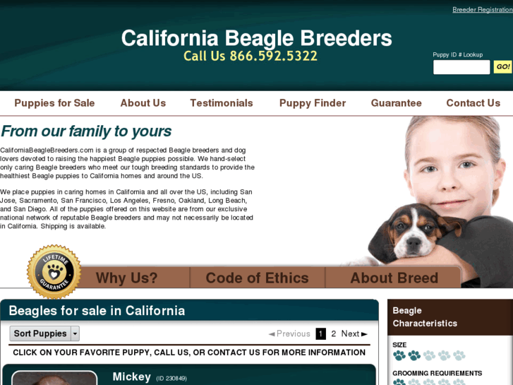 www.californiabeaglebreeders.com