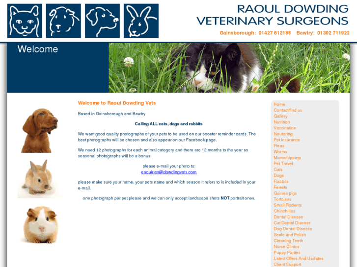 www.dowdingvets.com