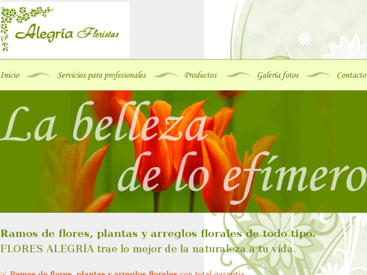 www.flores-alegria.com