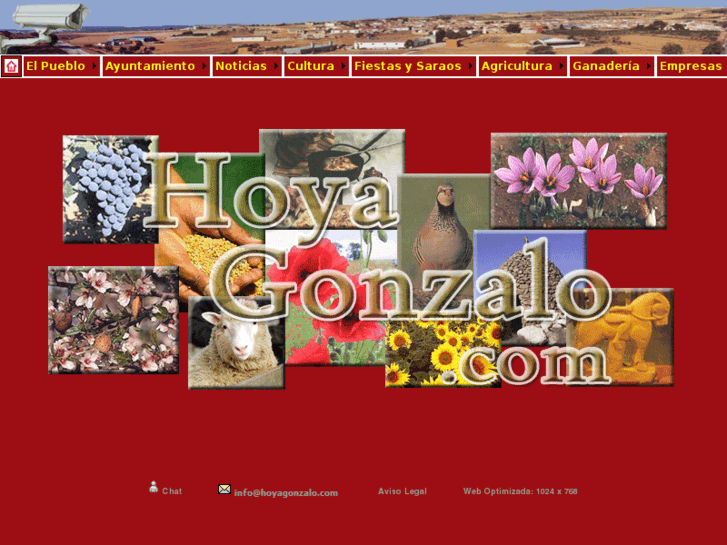 www.hoyagonzalo.com