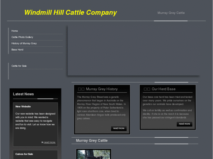 www.windmillhillcattle.com