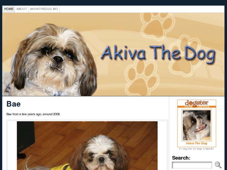 www.akivathedog.com