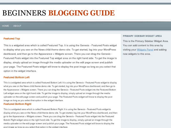 www.beginnersbloggingguide.com