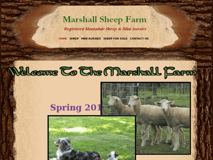 www.marshallsheepfarm.com