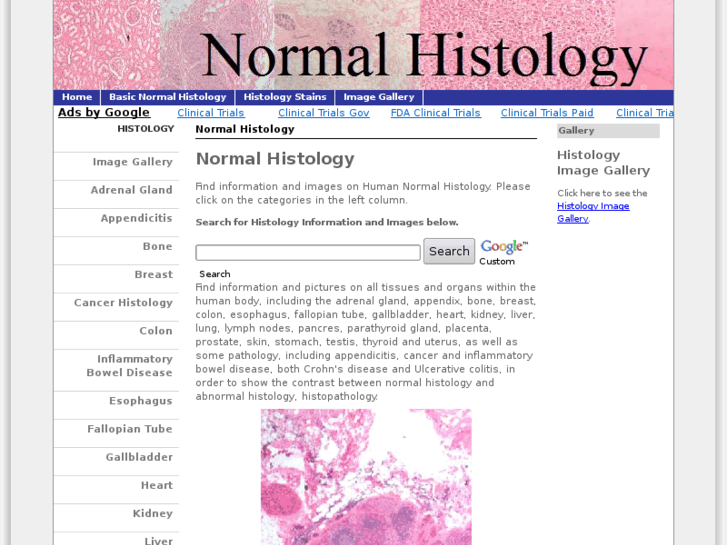 www.normalhistology.com