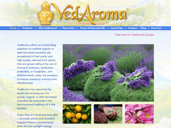 www.veda-aroma.com