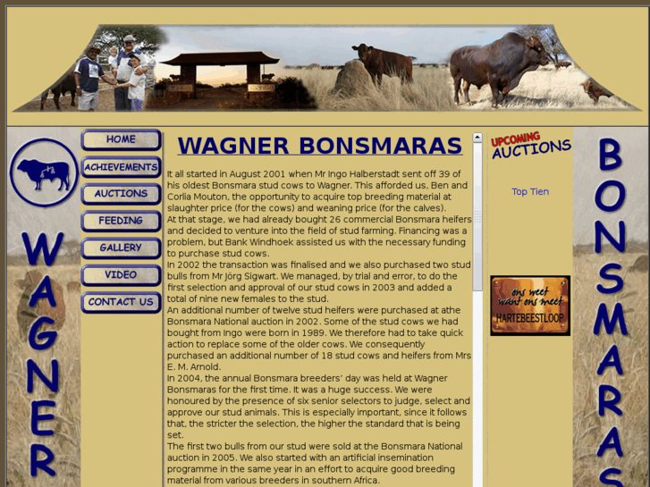 www.wagnerbonsmaras.com