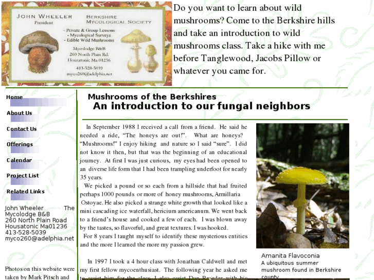 www.berkshirewildmushrooms.com