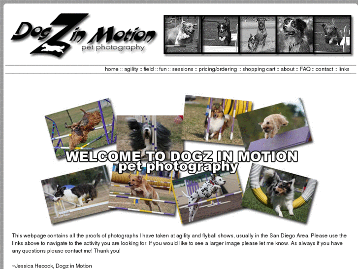 www.dogzinmotion.com