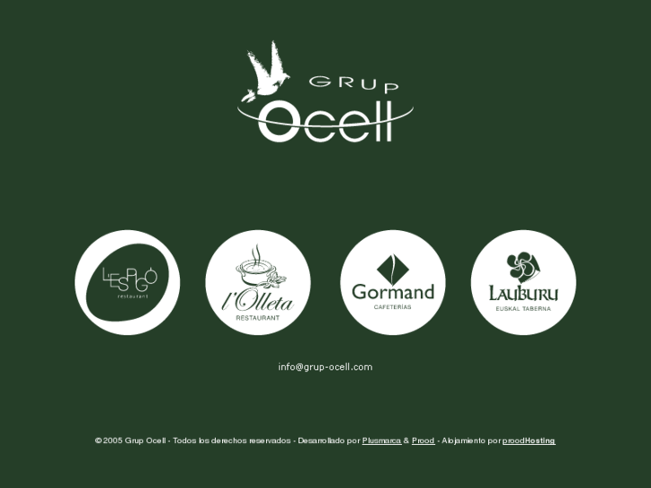 www.grup-ocell.com