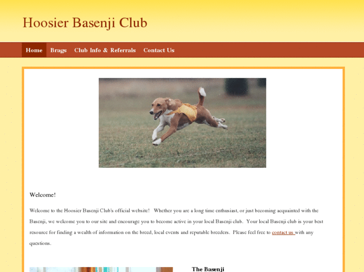 www.hoosierbasenjiclub.com