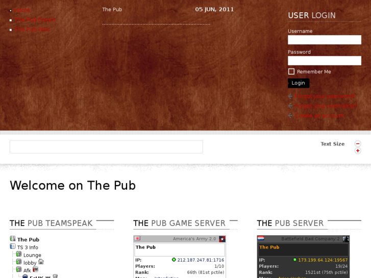 www.the-pub.eu