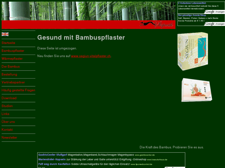 www.bambuspflaster.info