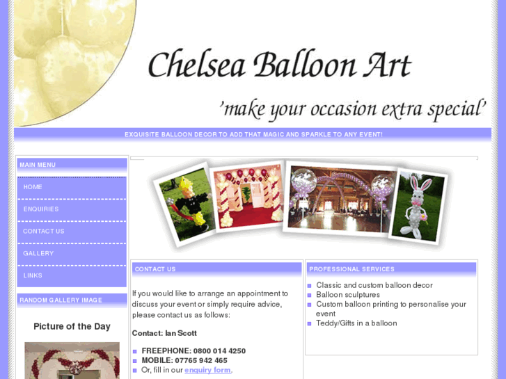 www.chelseaballoonart.com