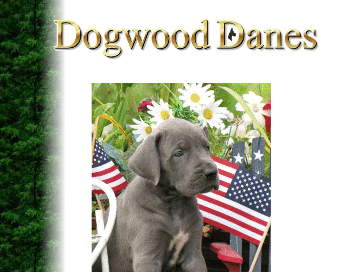 www.dogwooddanes.com