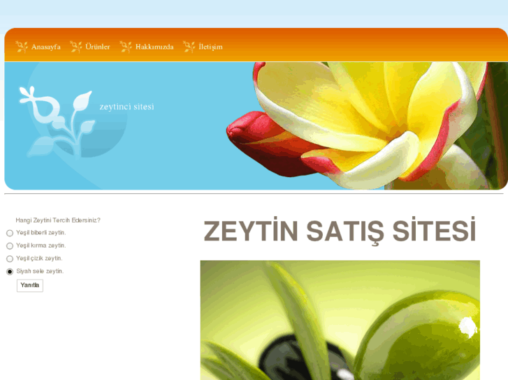 www.ezeytinci.com