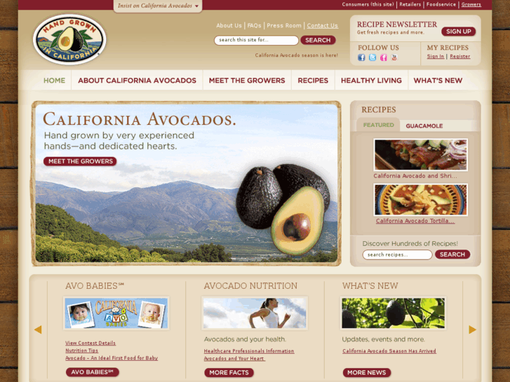 www.guacamole.org