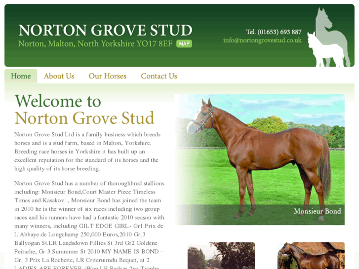 www.nortongrovestud.co.uk