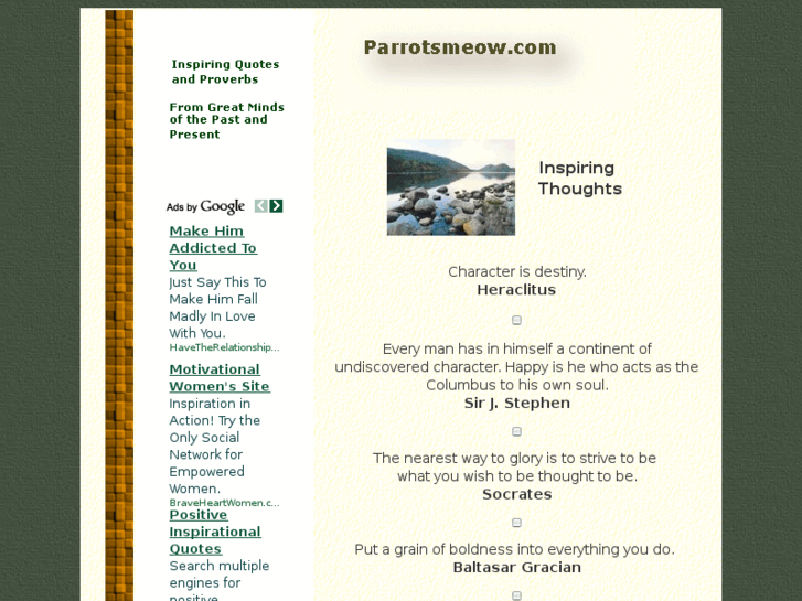 www.parrotsmeow.com