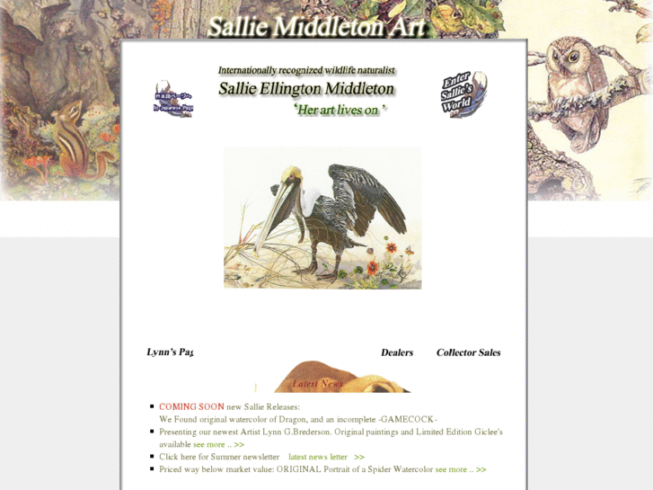 www.salliemiddletonart.net