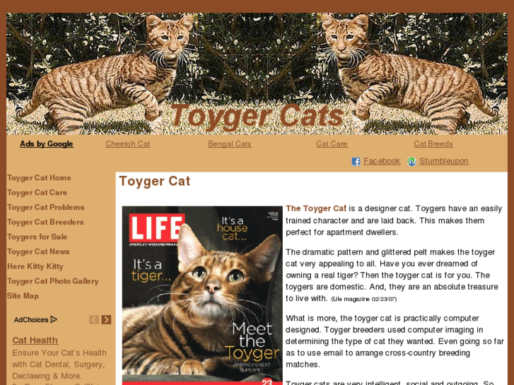 www.toyger-cat.com