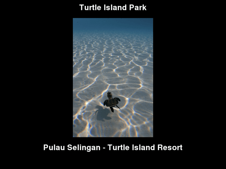 www.turtleislandpark.com