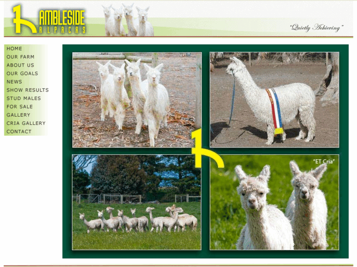 www.amblesidealpacas.com