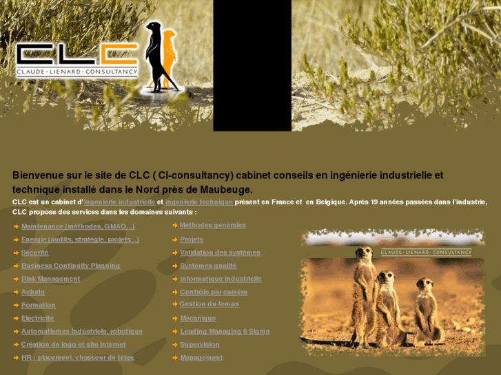 www.cl-consultancy.com