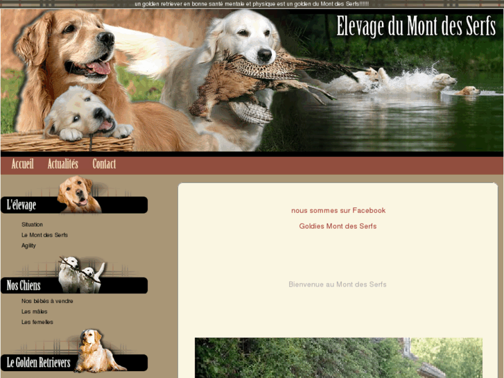 www.golden-retrievers-mds.com