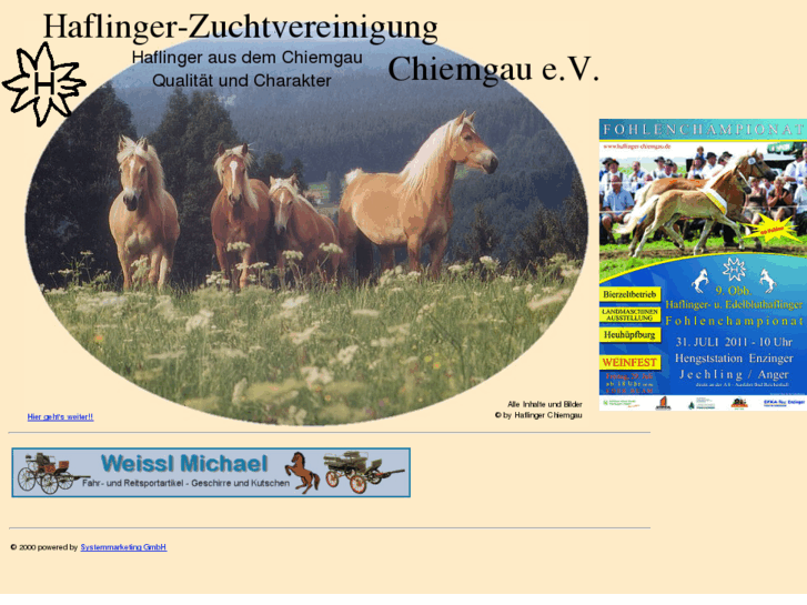 www.haflinger-chiemgau.de