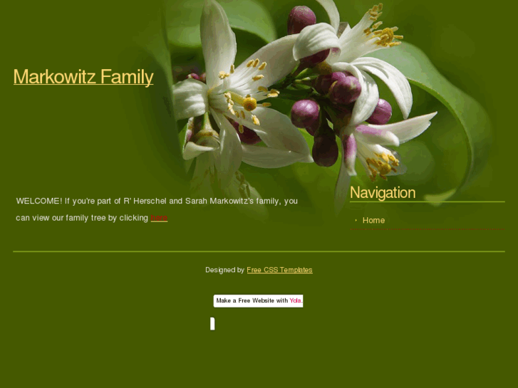 www.markowitzfamily.info