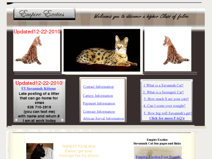 www.savannahcat.us