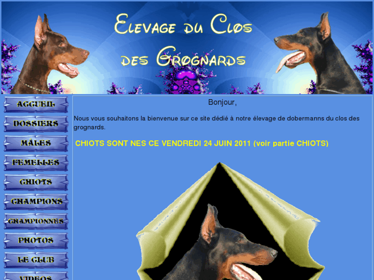 www.dobermann-elevage-du-clos-des-grognards.com