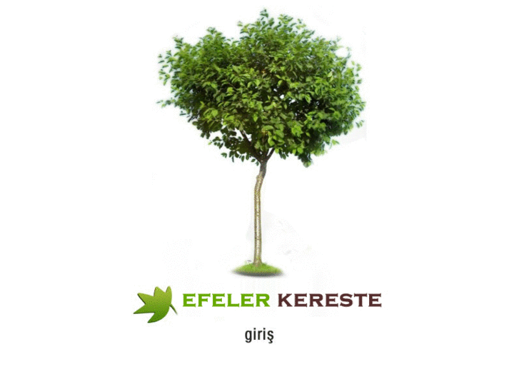 www.efelerkereste.com