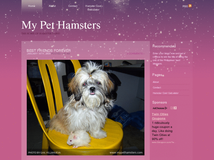 www.mypethamsters.com