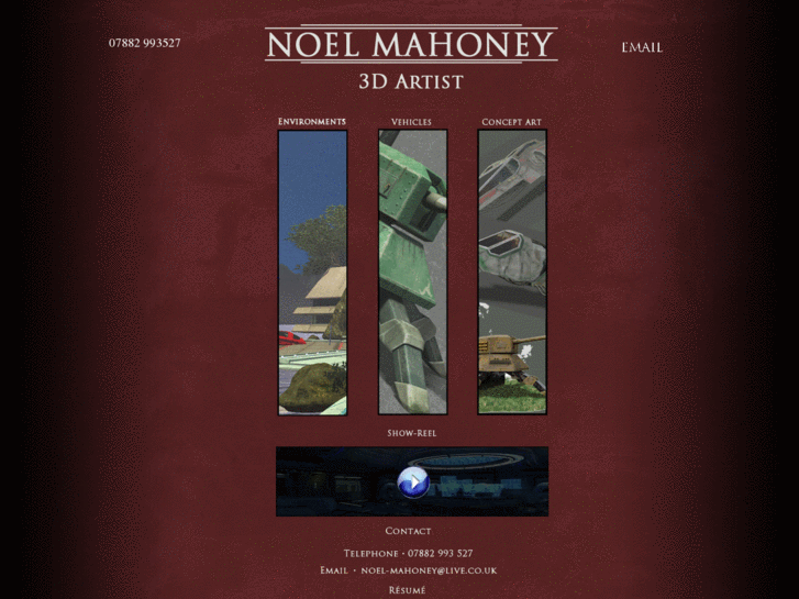 www.noel-mahoney.com