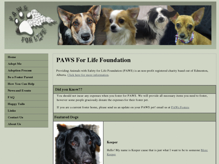 www.paws-rescue.com