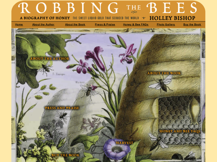www.robbingthebees.com