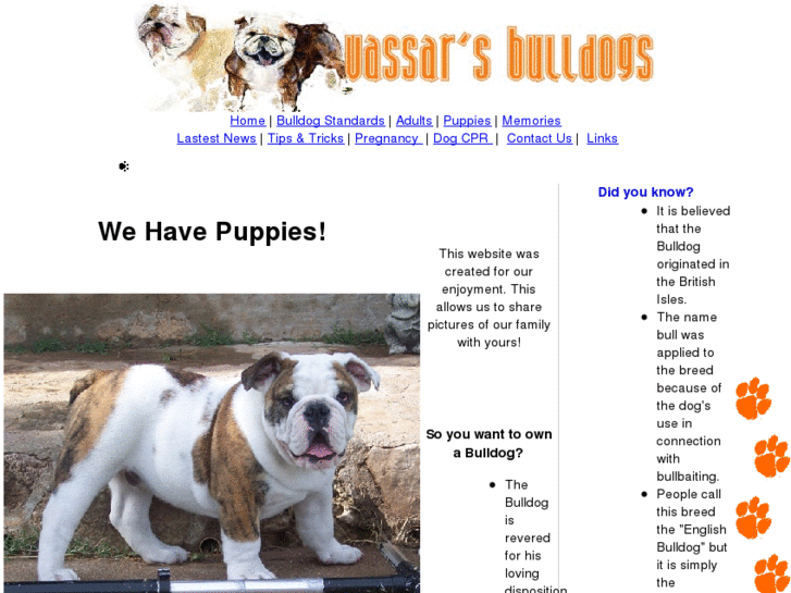 www.vassarbulldogs.com