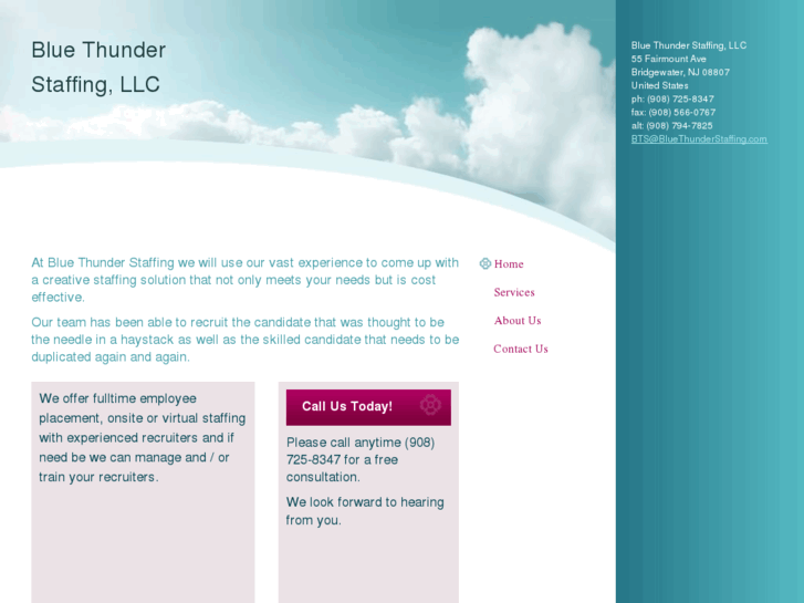 www.bluethunderstaffing.com