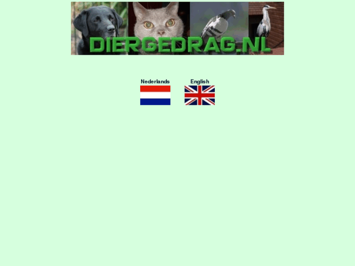 www.diergedrag.nl