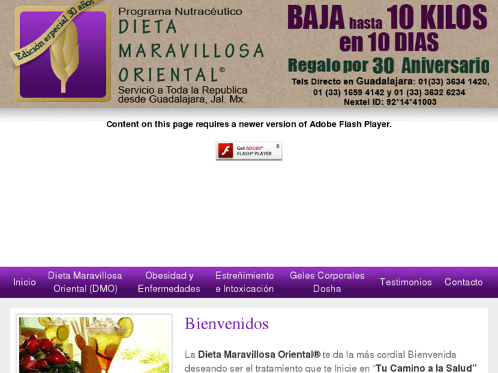 www.dietamaravillosaoriental.com