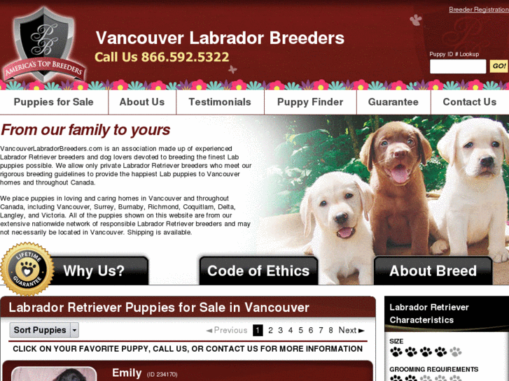 www.vancouverlabradorbreeders.com