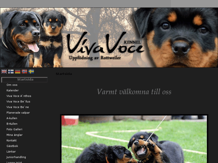 www.vivavoces.com