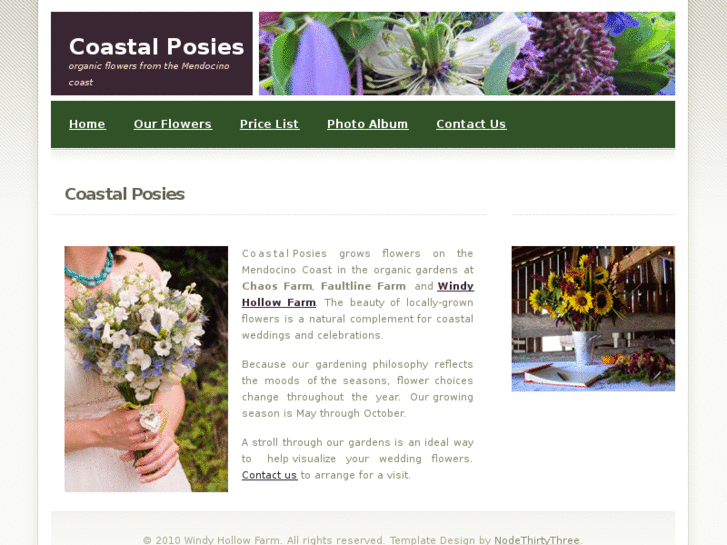 www.coastalposies.com