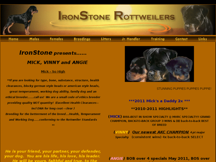 www.ironstonerottweilers.com