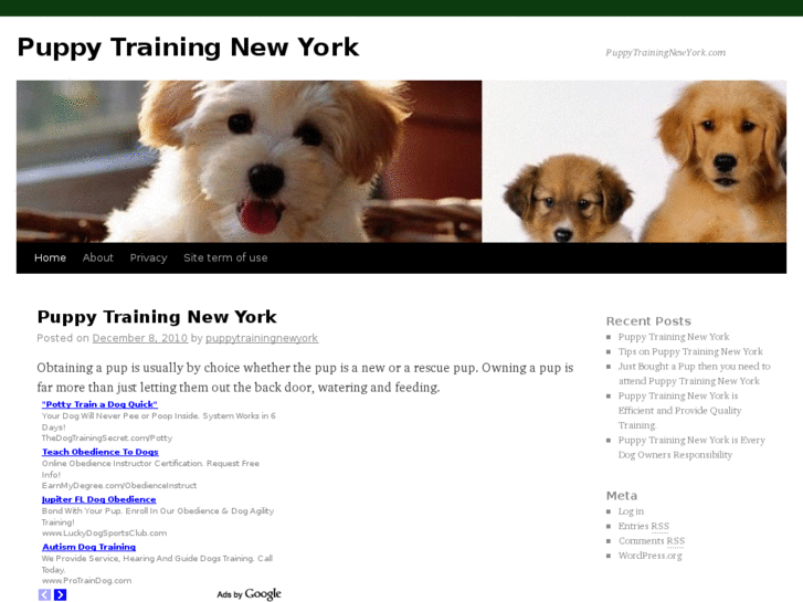 www.puppytrainingnewyork.com