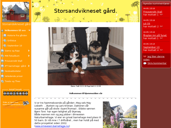 www.storsanvikneset.info